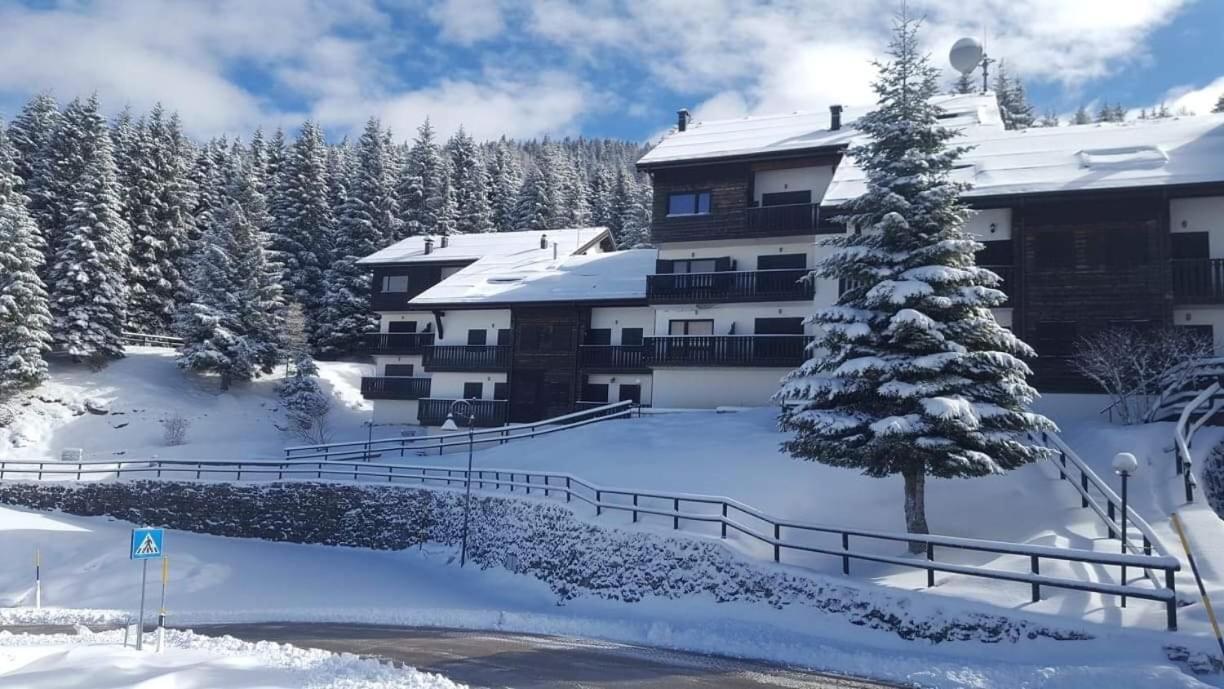 Alpieve Pieve Hotel 3*
